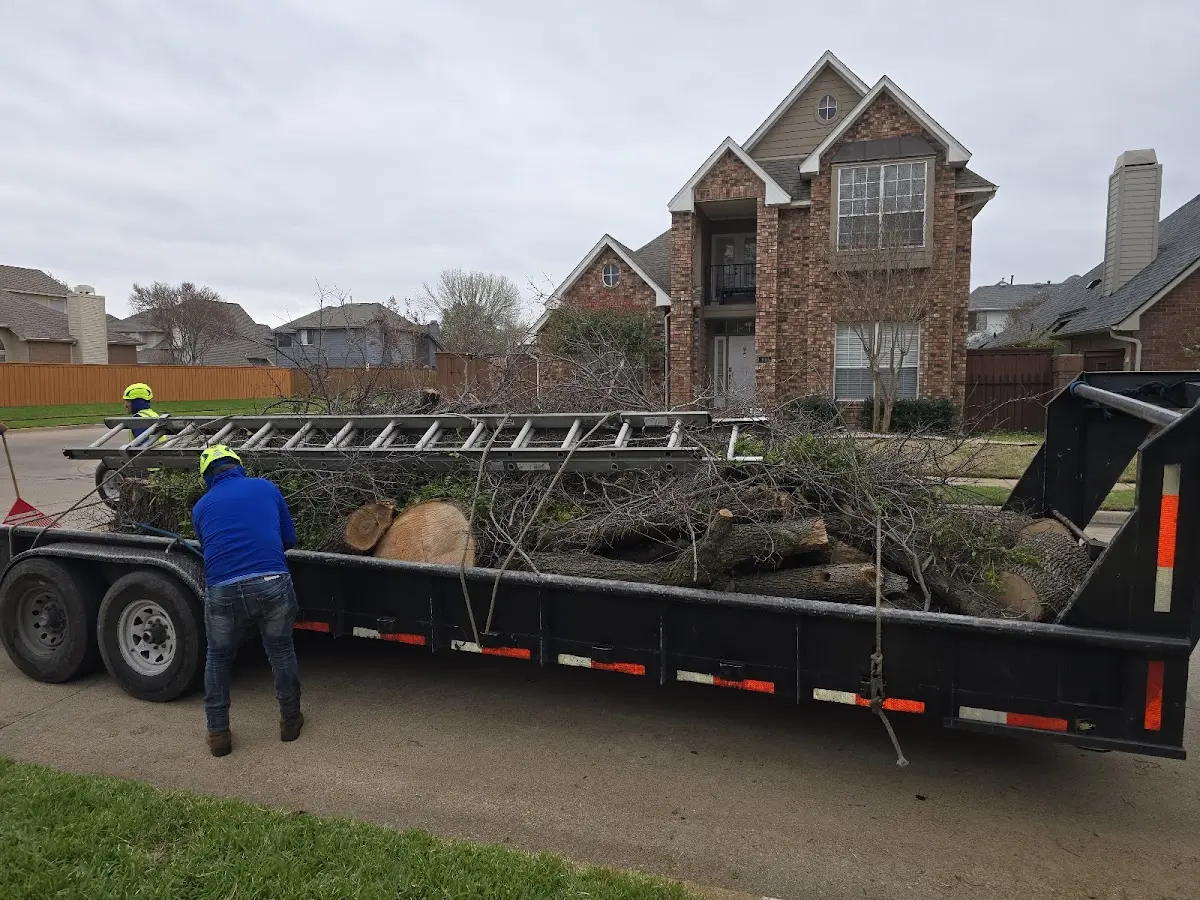Expert Tree Fertilization with proper safety equipment in Olney